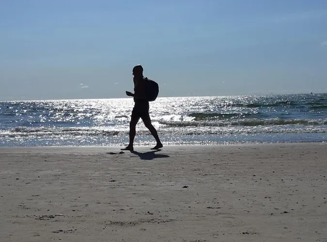 Saulelydziu Terasa Palanga